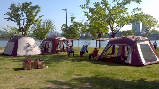 踏进公园神奇减压，爆火的“公园20分钟效应”科学吗